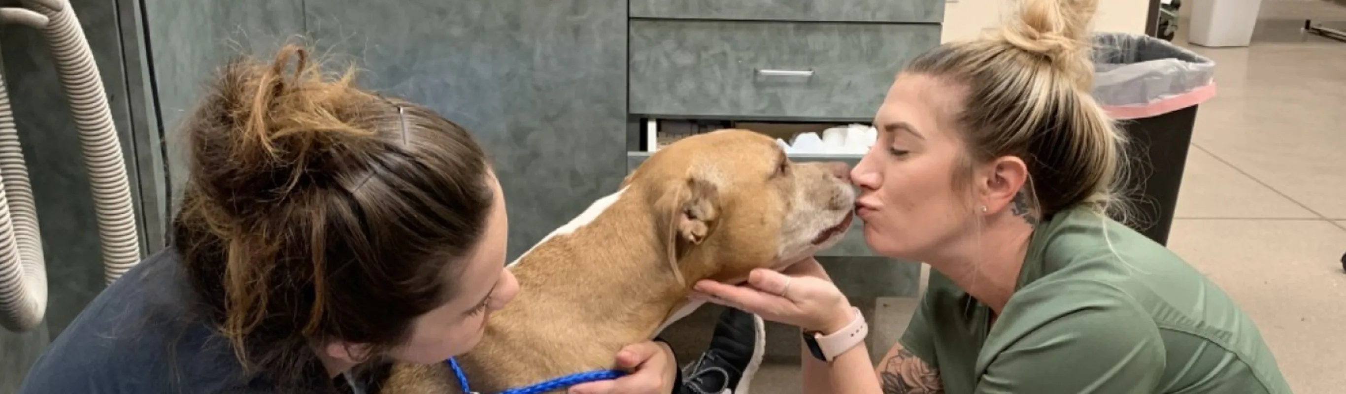 Abby Pet Hospital - Vet Tech Kissing Dog